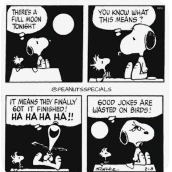 Meet your Posher ๐ด๐๐ป - Picture 14 of 16